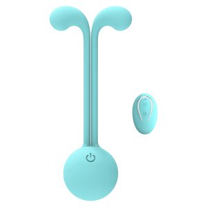 bärbar fjärrstyrd vibrator